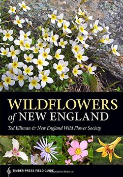 portada Wildflowers of New England (A Timber Press Field Guide) (in English)