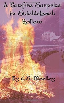 portada A Bonfire Surprise in Stickleback Hollow: Volume 5 (The Mysteries of Stickleback Hollow)