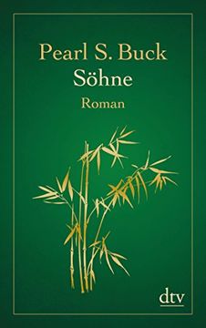 portada Söhne: Roman (Dtv Fortsetzungsnummer 12) (in German)