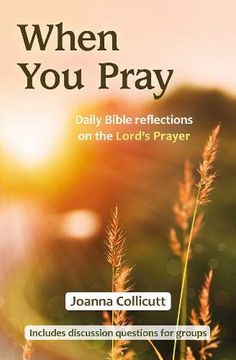 portada When you Pray: Daily Bible Reflections on the Lord's Prayer (en Inglés)