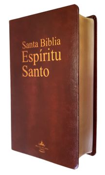 portada Santa Biblia Espíritu Santo Reina Valera 1960 Piel Burdeo