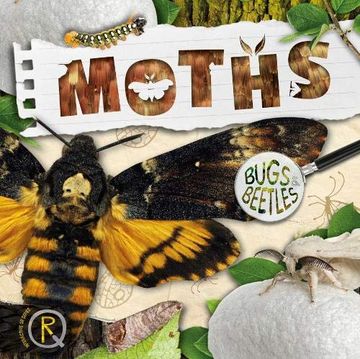 portada Moths (Bugs and Beetles) (en Inglés)