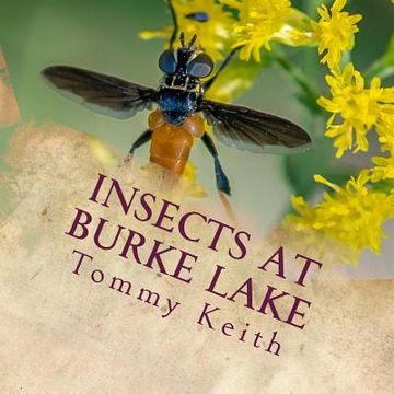 portada Insects At Burke Lake: A Picture Book For Children Of All Ages