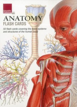 portada Anatomy Flash Cards (en Inglés)