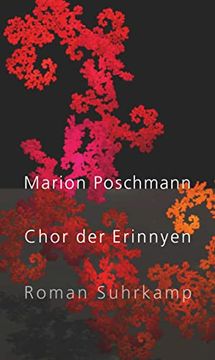 portada Chor der Erinnyen: Roman | die Parallelgeschichte zum Bestseller »Die Kieferninseln« (en Alemán)