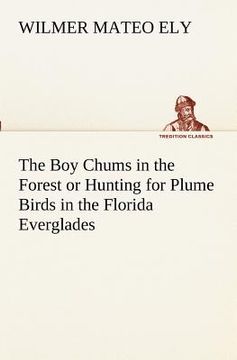 portada the boy chums in the forest or hunting for plume birds in the florida everglades (in English)