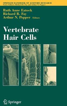 portada vertebrate hair cells (en Inglés)