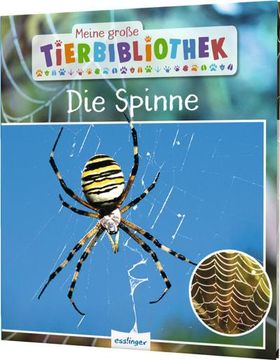 portada Meine Große Tierbibliothek: Die Spinne (en Alemán)