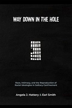 portada Way Down in the Hole: Race, Intimacy, and the Reproduction of Racial Ideologies in Solitary Confinement (Critical Issues in Crime and Society) (in English)