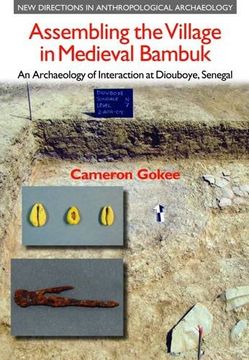 portada Assembling the Village in Medieval Bambuk: An Archaeology of Interaction at Diouboye, Senegal (New Directions in Anthropological Archaeology)