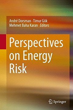 portada Perspectives on Energy Risk