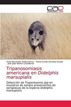 portada Tripanosomiasis Americana en Didelphis Marsupialis: Detección de Trypanosoma spp en Muestras de Sangre Provenientes de Zarigüeyas de la Especie Didelphis Marsupialis