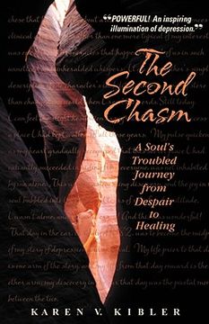 portada the second chasm: a soul's troubled journey from despair to healing (en Inglés)
