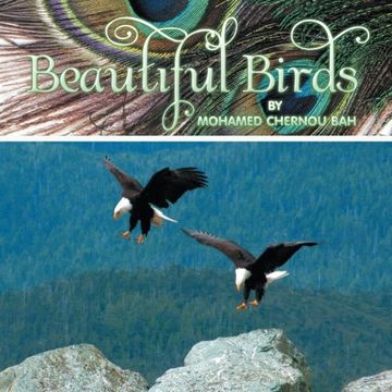 portada Beautiful Birds