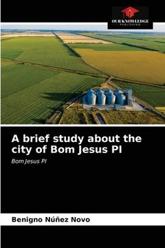 portada A brief study about the city of Bom Jesus PI (en Inglés)