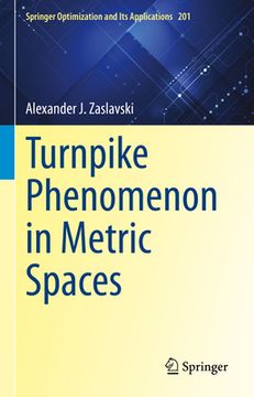 portada Turnpike Phenomenon in Metric Spaces (en Inglés)
