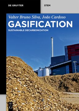 portada Gasification (in English)