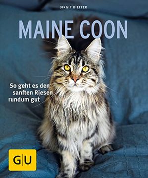 portada Maine Coon: So Geht es den Sanften Riesen Rundum gut (gu Tierratgeber) (en Alemán)