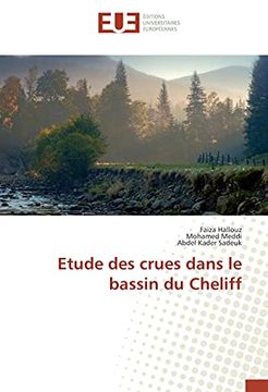 Etude des Crues Dans le Bassin du Cheliff (in French)