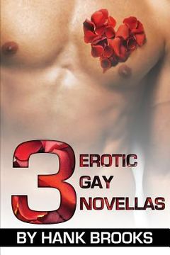 portada 3 Erotic Gay Novellas (en Inglés)