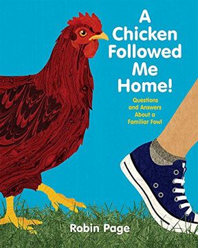 portada A Chicken Followed Me Home!: Questions and Answers about a Familiar Fowl