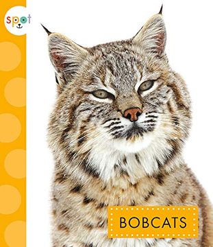 portada Bobcats (en Inglés)