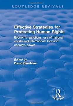 portada Effective Strategies for Protecting Human Rights: Economic Sanctions, Use of National Courts and International Fora and Coercive Power (en Inglés)