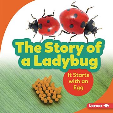 portada The Story of a Ladybug: It Starts With an egg (Step by Step) (en Inglés)