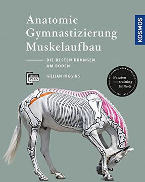 portada Anatomie, Gymnastizierung, Muskelaufbau: Die Besten Übungen für Pferde am Boden