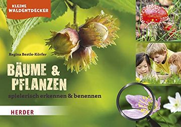 portada Kleine Waldentdecker: Bäume & Pflanzen