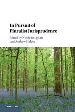 portada In Pursuit of Pluralist Jurisprudence (en Inglés)