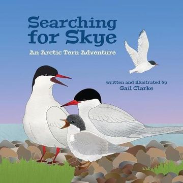 portada Searching for Skye: An Arctic Tern Adventure