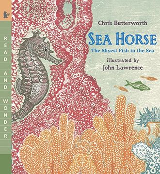 portada Sea Horse: Read and Wonder: The Shyest Fish in the sea (in English)