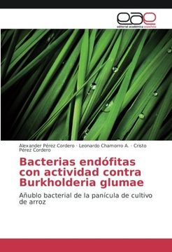 portada Bacterias endófitas con actividad contra Burkholderia glumae: Añublo bacterial de la panícula de cultivo de arroz