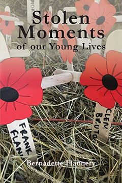 portada Stolen Moments of Our Young Lives (en Inglés)