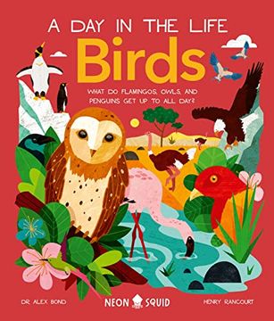 portada Birds (a day in the Life) (in English)