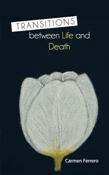 portada Transitions Between Life and Death