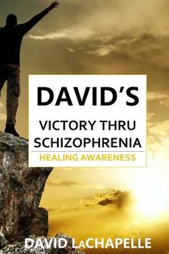 portada David's Victory Thru Schizophrenia: Healing Awareness (in English)
