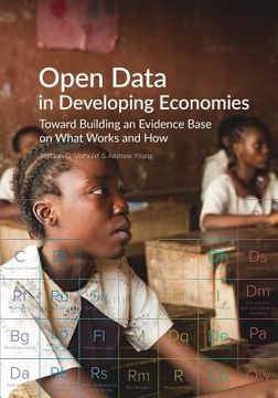 portada Open Data in Developing Economies: Toward Building an Evidence Base on What Works and How (en Inglés)