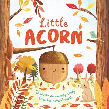 portada Nature Stories: Little Acorn: Padded Board Book (in English)