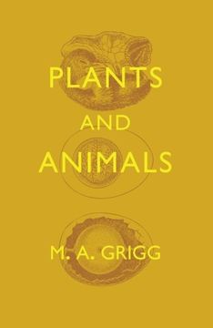 portada Plants and Animals (en Inglés)