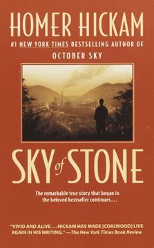 portada Sky of Stone (Coalwood) 