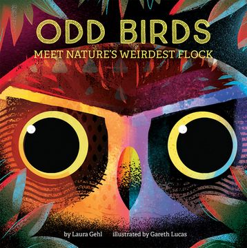 portada Odd Birds: Meet Nature'S Weirdest Flock (en Inglés)