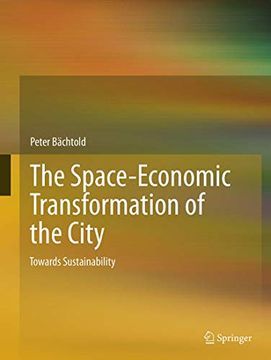 portada The Space-Economic Transformation of the City: Towards Sustainability (in English)