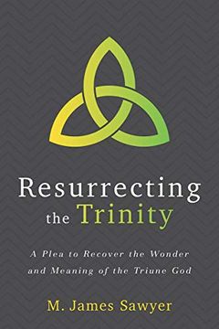 portada Resurrecting the Trinity: A Plea to Recover the Wonder and Meaning of the Triune god 