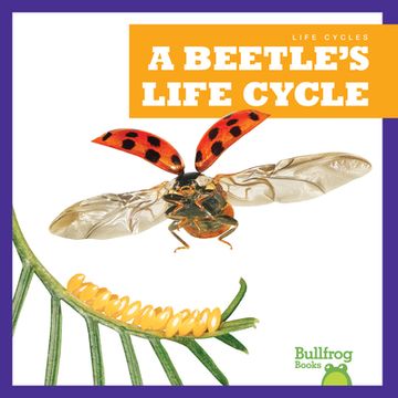 portada A Beetle's Life Cycle (en Inglés)