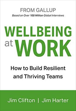 portada Wellbeing at Work (en Inglés)