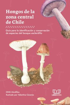 portada Hongos del Bosque Esclérofilo de Chile (in Spanish)