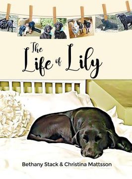 portada The Life of Lily (en Inglés)