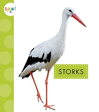 portada Storks